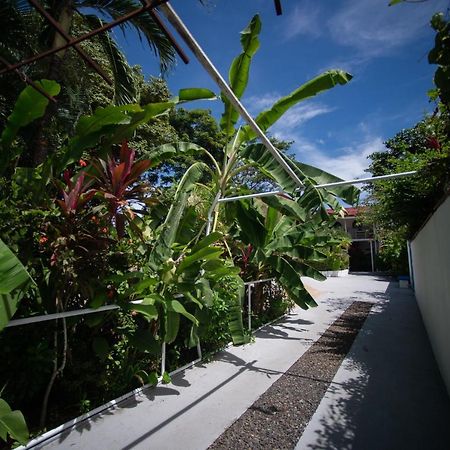La Perlita Bed & Breakfast Jaco Luaran gambar